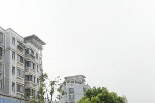 芳華路713弄小區(qū)綜合評(píng)價(jià) 優(yōu)點(diǎn)、不足與周邊中介服務(wù)