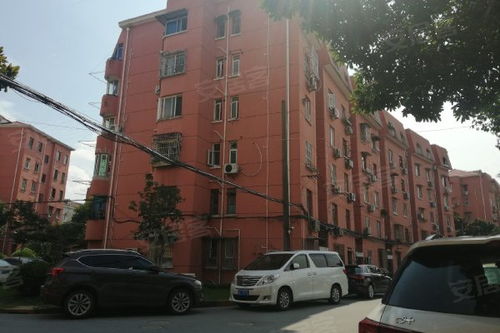 新華小區老閔行 優缺點與周邊中介服務解析