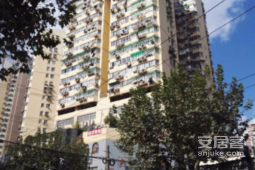 中華東波小區綜合評析 優缺點、居住體驗與周邊中介服務