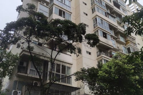 龍錦雅苑深度解析 社區(qū)優(yōu)劣、居住體驗(yàn)與周邊中介服務(wù)評(píng)價(jià)